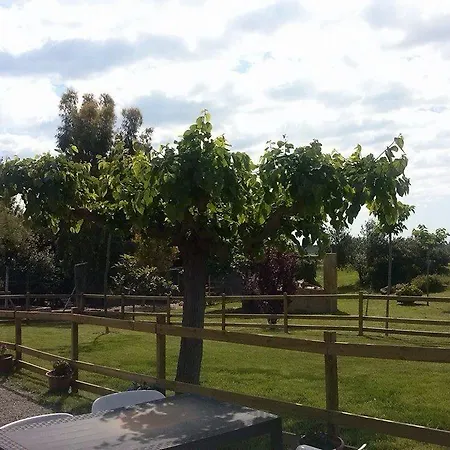 Летний дом Turisme Rural Mas Ramades